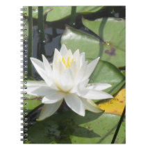 Waterlily Notebook