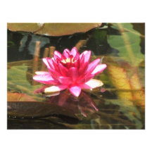 Waterlily Personalized Invites