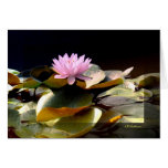 Waterlily Pink I Card