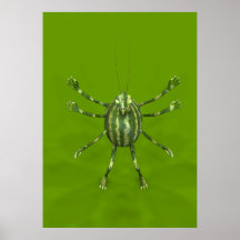 Watermelon Creeper Poster