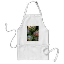 Watermelons Aprons