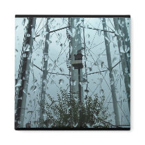 watertower from car refrigerator magnets