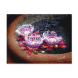 Watervase Garden Post Card