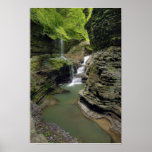 Watkins Glen Waterfall  Print