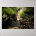 Watkins Glen Waterfall  Print