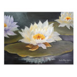 WATWELILLIES 50X70 POSTCARDS