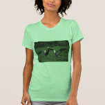 Waved Albatross, Territorial Aggression Shirt