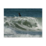 Waves Off Ocean Beach In San Diego Postcards