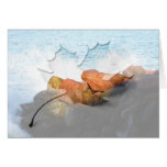Waves on the Rocks; No Text Cards