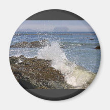 Waves Splashing Ocean Seaweed Beaches Refrigerator Magnets
