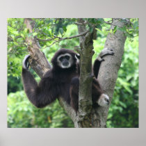 Waving monkey