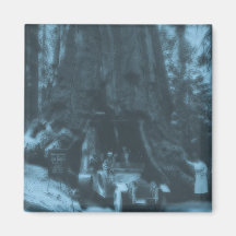 Wawona Tree Magic Lantern Maraposa Grove, CA Fridge Magnets