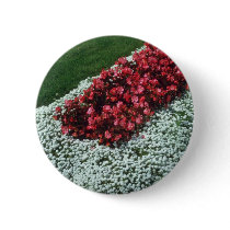 Wax Begonia (Begonia) flowers Pin