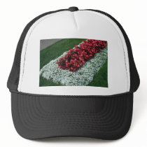 Wax Begonia (Begonia) flowers Hats