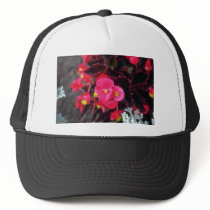 Wax Begonia (Begonia) flowers Hat