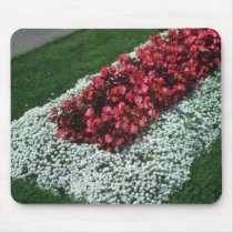 Wax Begonia (Begonia) flowers Mousepads
