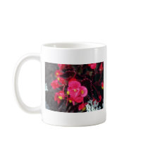 Wax Begonia (Begonia) flowers Mug