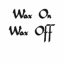 Wax On Wax Off Embroidered Shirt