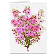 Waxflower Bouquet Greeting Card
