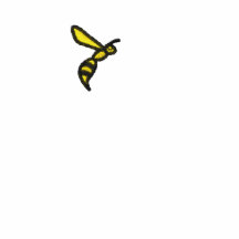 Way of the WASP embroidered polo (black & yellow)