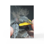 We all have bad hair days card