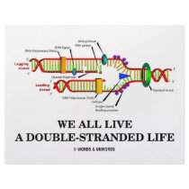 We All Live A Double-Stranded Life (DNA Humour)