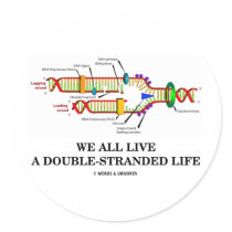 We All Live A Double-Stranded Life (DNA Humour)