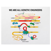 We Are All Genetic Engineers (RNA Splicing)