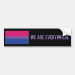 We Are Everywhere sticker (bisexual) Bumper Stickers