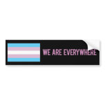 We Are Everywhere sticker (transgender) bumper stickers