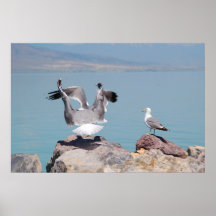 We are going to visit you! posters