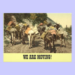 We are moving announcement invitations