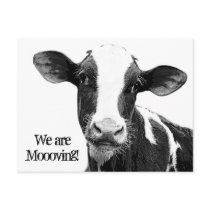 We are Moving! Moooving Change of Address Cow Post Cards