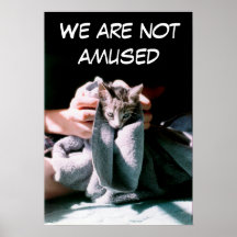 We Are Not Amused Poster