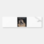 WE DON'T DIAL 911 ATTACK DOG BUMPER STICKER