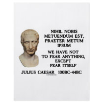 We Have Not To Fear Anything, Except Fear Itself Flyer Design