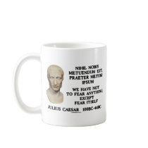 We Have Not To Fear Anything, Except Fear Itself Mug