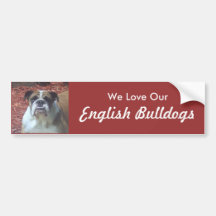 We Love Our English Bulldogs Bumper Sticker