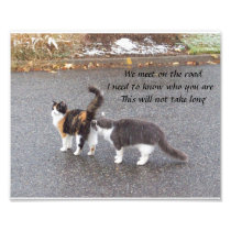 We meet on the road Haiku Photo