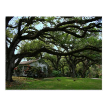 We moved! postcard