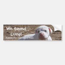 We Saved Luna! Bumper Stickers