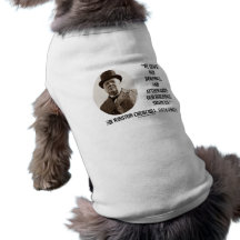 We Shape Our Buildings (Winston Churchill Quote) Pet Shirt