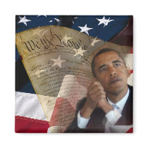 We the People...Barack Obama & the Constitution