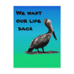 We Want Our Life Back postcards