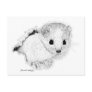 Weasel Postcard