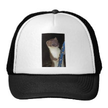 Weasel, Short-tailed Mesh Hats