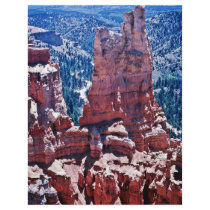 Weather Carved Pinnacles - Bryce National Park Personalized Flyer