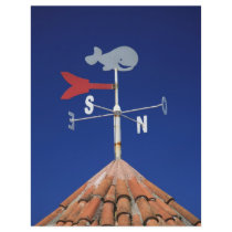 Weather vane full color flyer