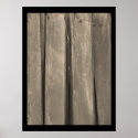 Weathered Barn Wood posters