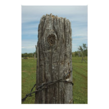 Weathered Fence Post - Photography Print